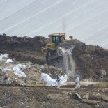 El lindano, el veneno que contamina el Ebro y el Miño, deja de ser indestructible