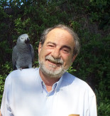 Hola, soy Luis Gil, un entusiasta de los árboles y afortunado por vivir de ellos. Pregúntame