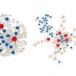 Las heridas en la cabeza pueden alterar cientos de genes y llevar a enfermedades mentales serias [ENG]