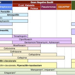 Tabla de espectro antibiótico