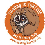 Tráfico ilegal de loris [ENG/ESP]