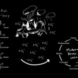 Un ciclo de Krebs sin enzimas pudo ser un paso clave en el origen de la vida en la Tierra (ING)