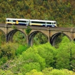 El tren en el que se puede ir gratis pero sin garantía de llegar a destino