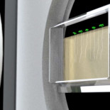 Nuevo sistema de microscopía permite ver crecer a las plantas célula a célula (ING)