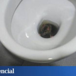 Ratas, goteras, techos rotos... las casas de los guardias civiles que no reforma Interior