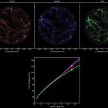 Explican la expansión del Universo sin energía oscura