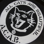 A.C.A.B publicará a lo largo de hoy la base de datos hackeada de donantes de Hazte Oir