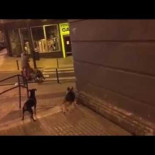Brutal agresión de un joven a un hombre de 57 años en Barakaldo