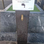 Los farmacéuticos reclaman “homeopatía gratis” del grifo: “lo cura todo y está fresquita”