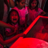 Premio Pulitzer de Fotografía: 'Nos están masacrando como animales'