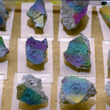 Berlín construirá un muro para proteger el muro de Berlín [ENG]