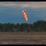 Estados Unidos lanzó en Afganistán "la madre de todas las bombas" contra el Estado Islámico