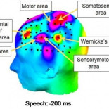 Japoneses logran transcribir números y letras mediante un medidor de actividad cerebral (ING)