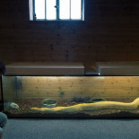 Austriacos en la intimidad de sus sótanos