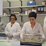 Colesterol, el gran engaño