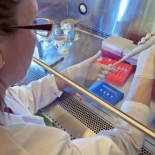 Hallan por primera vez ADN de neandertales en cuevas donde no había huesos