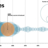 He aquí la demostración visual de por qué las vacunas hacen más bien que mal [ENG]