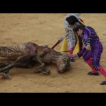 Campaña antitaurina francesa