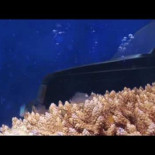 "Comprame mi Vitara" Video-anuncio particular de coche de segunda mano (ENG)