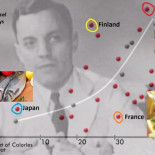 Colesterol, el gran engaño