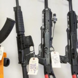 Italia permitirá el uso de armas de fuego para defenderse de los ladrones sólo por la noche