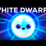 La última luz antes de la oscuridad eterna: enanas blancas y enanas negras [eng]