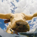 La cámara en el cubo de agua en un paraje desértico