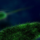 Organismos extraños que controlan tu intestino... y tu mente