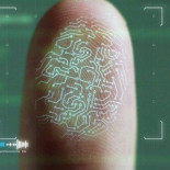 Huellas dactilares y seguridad: tres cosas que te han contado y son falsas