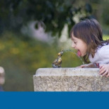 Deja de reciclar y bebe agua de grifo