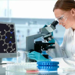 Descubren un anticuerpo que podría aniquilar las células cancerosas