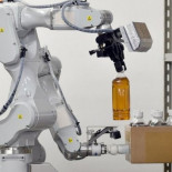 Japón: La caída de personas en edad de trabajar dispara la demanda de robots