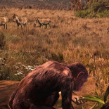 Un nuevo estudio sugiere que los humanos pudieron venir de Europa y no de África [ENG]