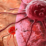 CRISPR se carga el VIH y se come el Zika como si fuese Pac-Man, apuntan los científicos [ENG]