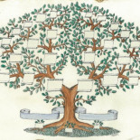 El 99% de los gallegos son primos (en 11º grado) [GAL]