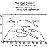 Descifrando el gran código