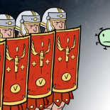 Las vacunas funcionan