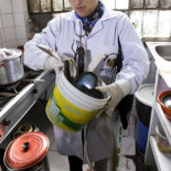 Relato de una inspectora de sanidad en España