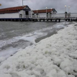 Treinta niños acaban en un centro de salud por dermatitis urticaria tras bañarse en el Mar Menor