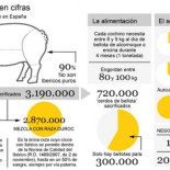 Japón y Alemania ya no comprarán más jamones ibéricos de bellota "sin papeles"