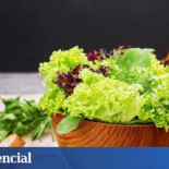 El aceite de oliva virgen extra, más barato en Reino Unido o Irlanda que en España