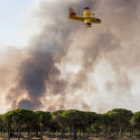 No, no puedes prender fuego a Doñana para construir unos apartamentos o un gaseoducto