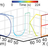 Un microscopio para observar el proceso de infección de un virus (ING)