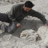 Logran extraer el ADN de un animal extinto hace 12 mil años