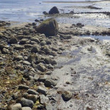 Descubierta una trampa para peces prehistórica en Alaska