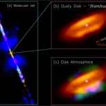 La semilla de la vida ya está presente en discos de formación estelar