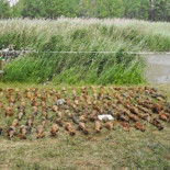 La Guardia Civil encuentra un arsenal de bombas de la Guerra Civil sumergido en un acuífero de Teruel