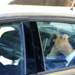 El exministro Soria utiliza vehículos camuflados de la Policía para atender sus negocios privados