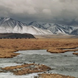 Aisholpan, la niña de 13 años que caza con águilas reales