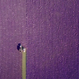 Las mejores fotos del año realizadas con drones